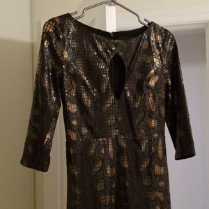 Sequin dress, size M but more of a small. NWOT.